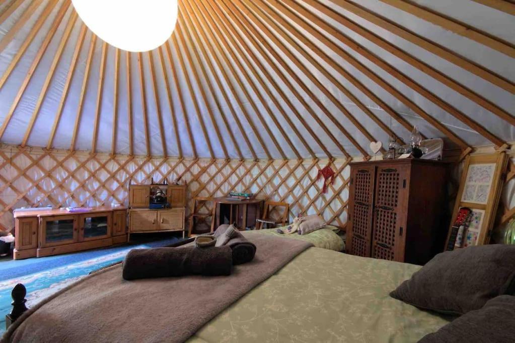 Posezení v ubytování Magical Forest yurt