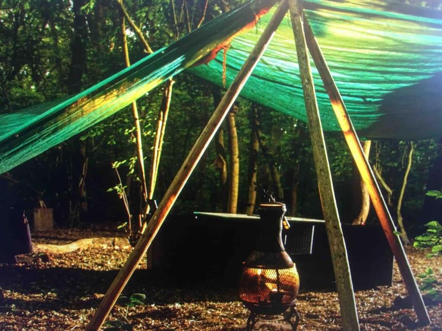 a vase sitting under a tent in the woods at Magical Forest yurt in Sturry