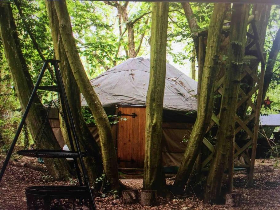 Zahrada ubytování Magical Forest yurt