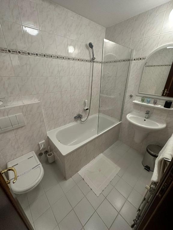 Hotel Radnice - Resim 19