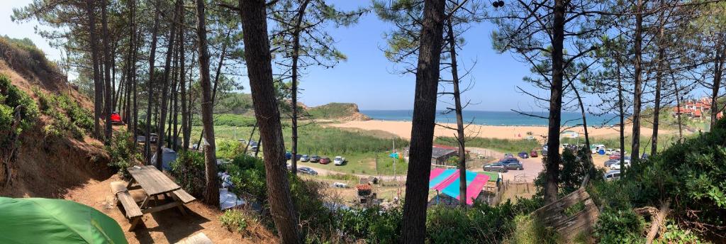 a view of a beach from a hill with trees at SB KAMP ŞİLE in Sile