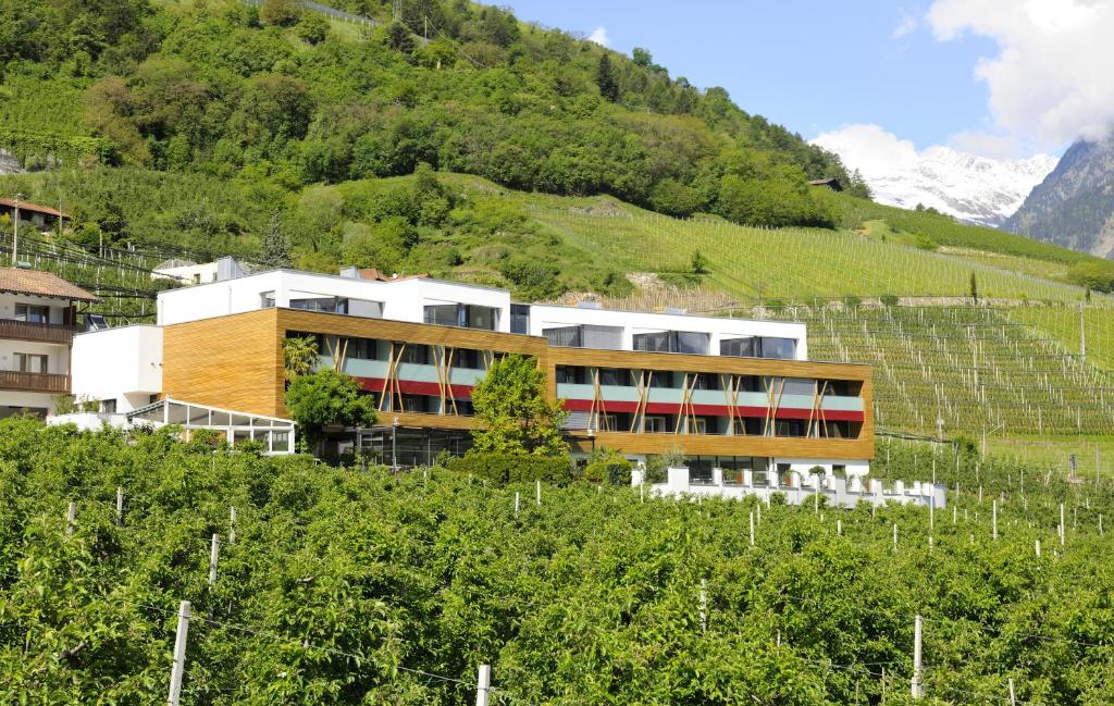 Nespecifikovaný výhled na hory nebo výhled na hory při pohledu z hotelu