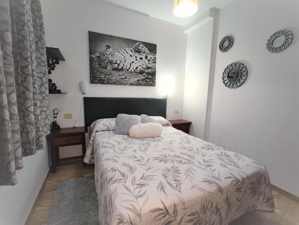 1 dormitorio con 1 cama y una foto en la pared en Awesome Apartment, en Puerto del Rosario