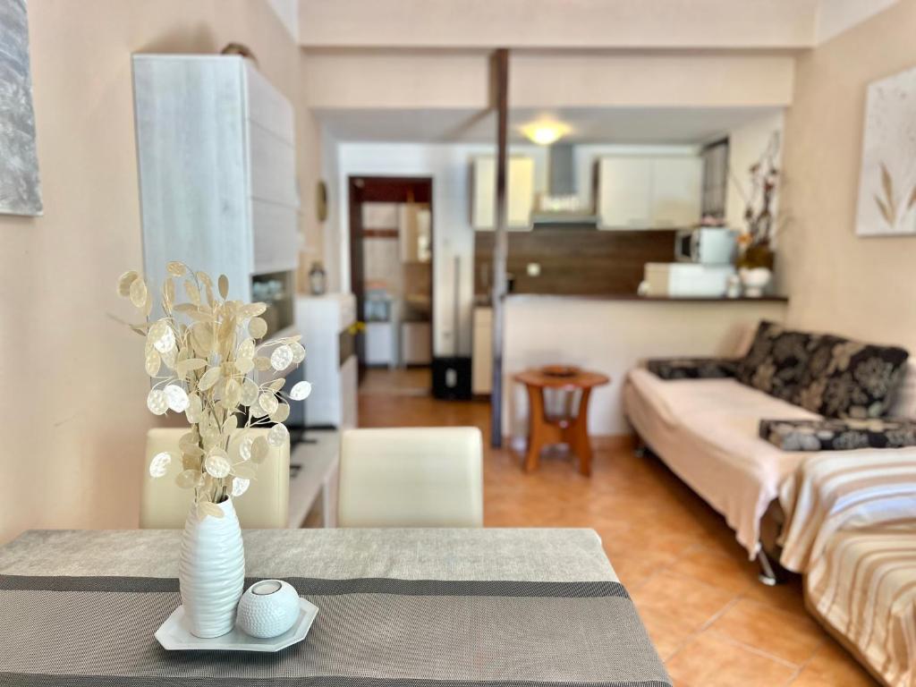Kuchyňa alebo kuchynka v ubytovaní Apartmani Zeleni Raj