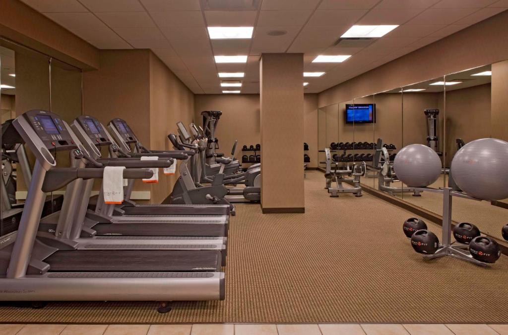 Fitness centrum a/nebo fitness zařízení v ubytování Hyatt Regency Lisle near Naperville
