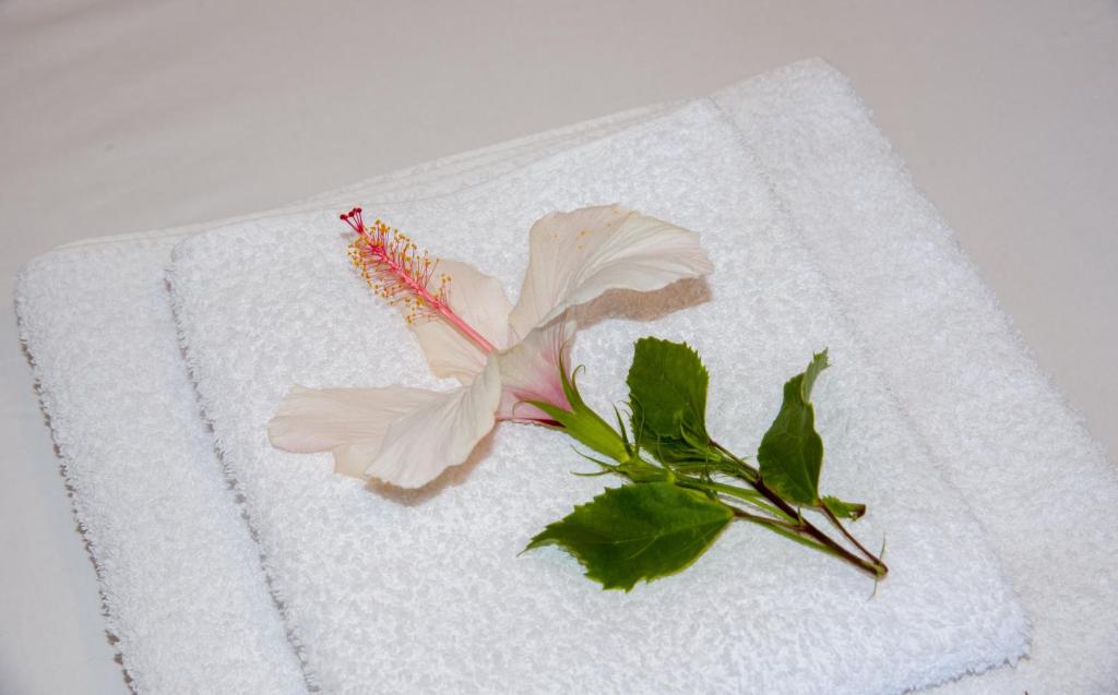 a white towel with a flower and leaves on it at Elafonisi Village in Elafonisi