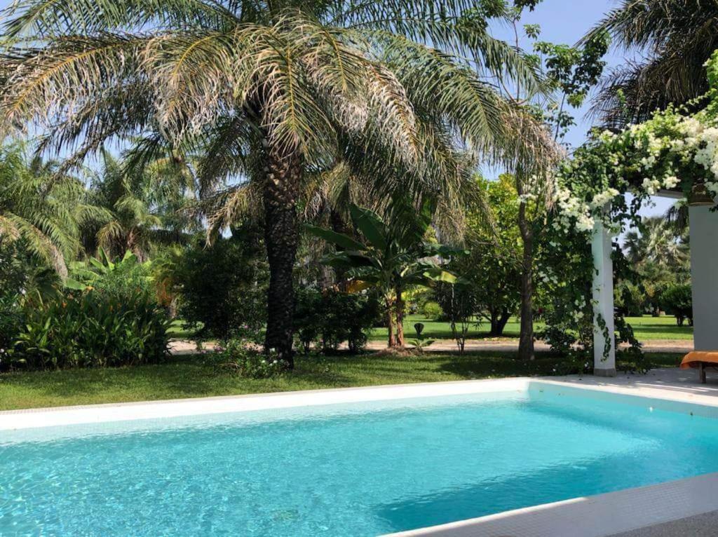a swimming pool with a palm tree in a yard at Villa CITRONS VERTS dans un parc arboré vue mer in Cap Skirring