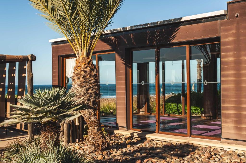 una casa sulla spiaggia con una palma di Paradis Plage Surf Yoga & Spa a Taghazout