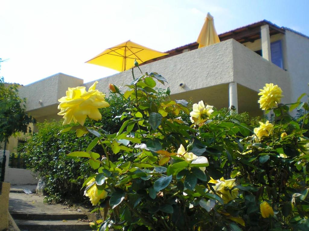 Κήπος έξω από το Charmant studio à Linguizzetta 23 m² avec terrasse privéeC