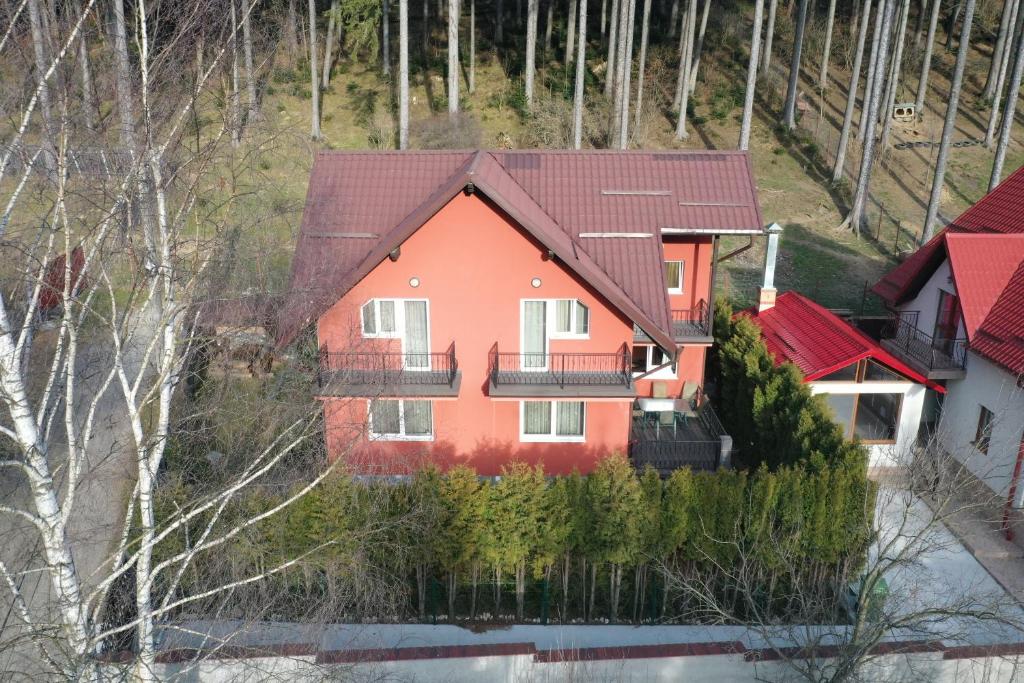 an aerial view of a house with red roofs at Vila Roberta in Buşteni