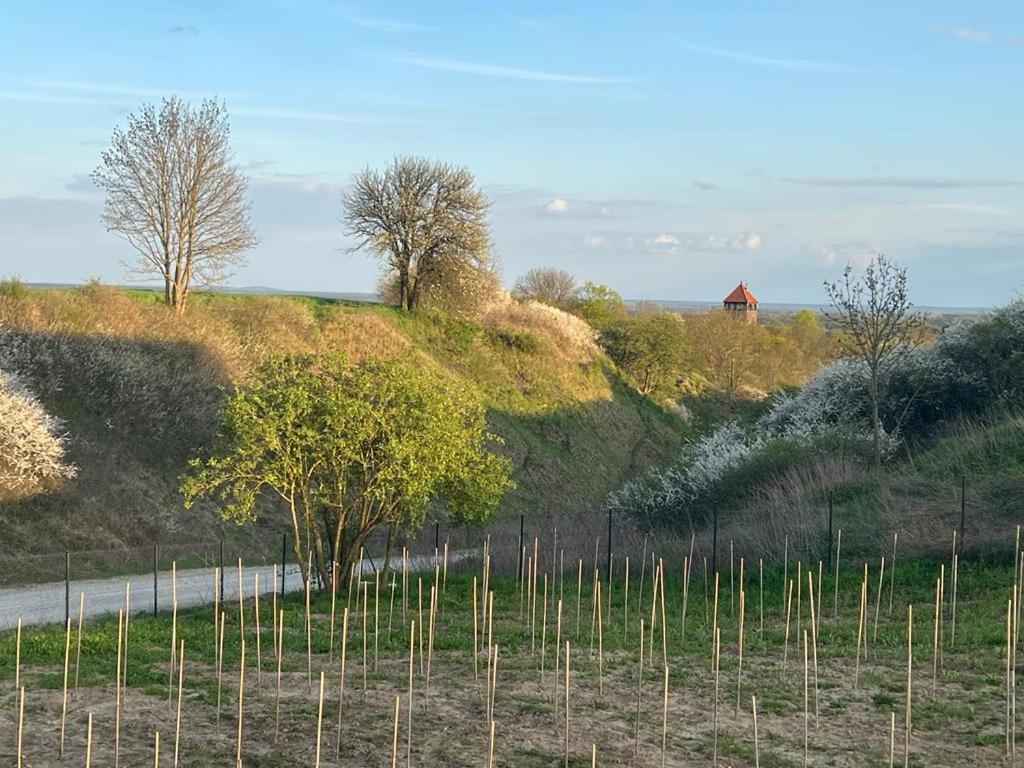 uma cerca numa colina com uma estrada e árvores em Winnica pod Skrzydłami em Santok