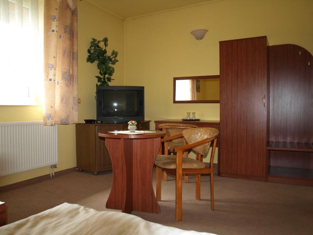 Hotel Pod Dębami - 单人间