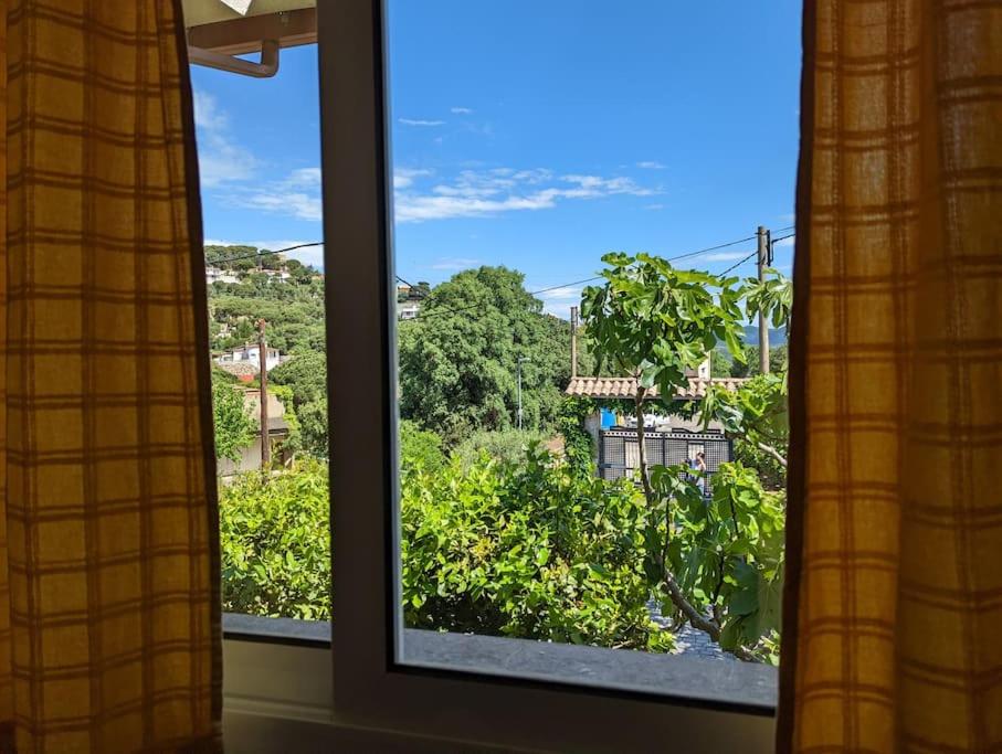 Fotografia z galérie ubytovania Villa Serra Brava - Costa Brava v Lloret de Mar