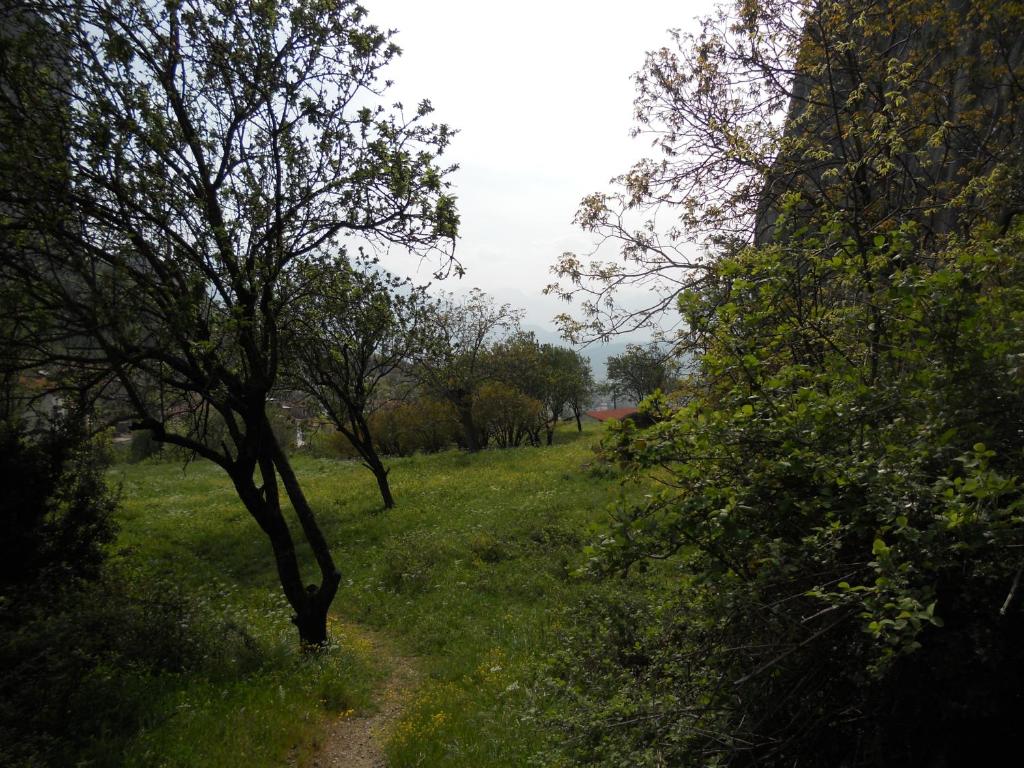 Hotel Gogos - Resim 41