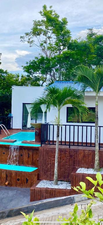dos palmeras frente a una piscina en La Morenita en Puerto Triunfo