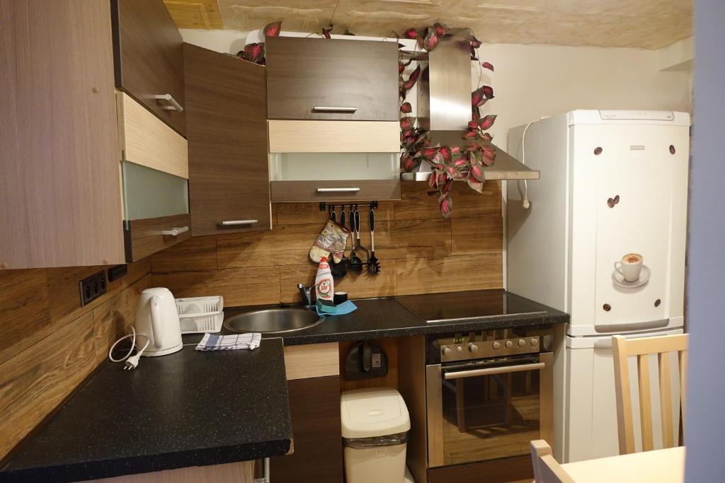 Kuchyňa alebo kuchynka v ubytovaní Apartmány u Bernardů