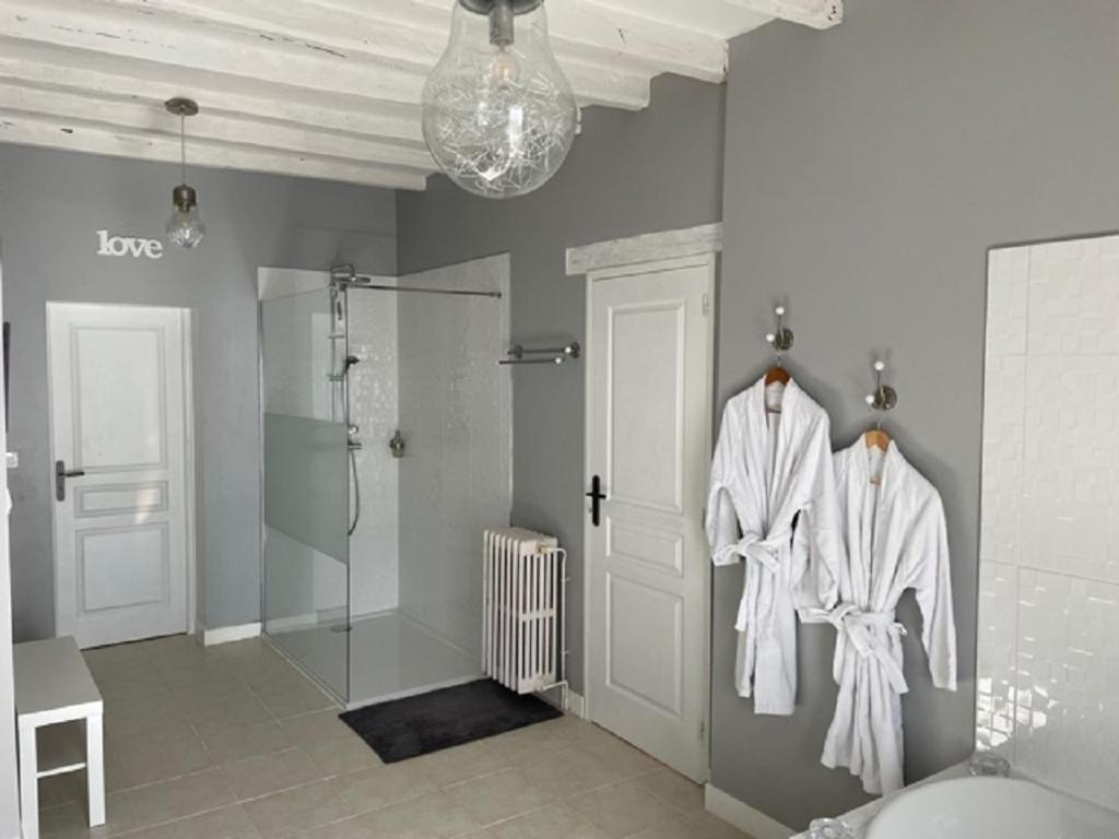 ein Bad mit einer Dusche und an Haken hängenden Handtüchern in der Unterkunft GITE ROMANTIQUE in Cléré-les-Pins