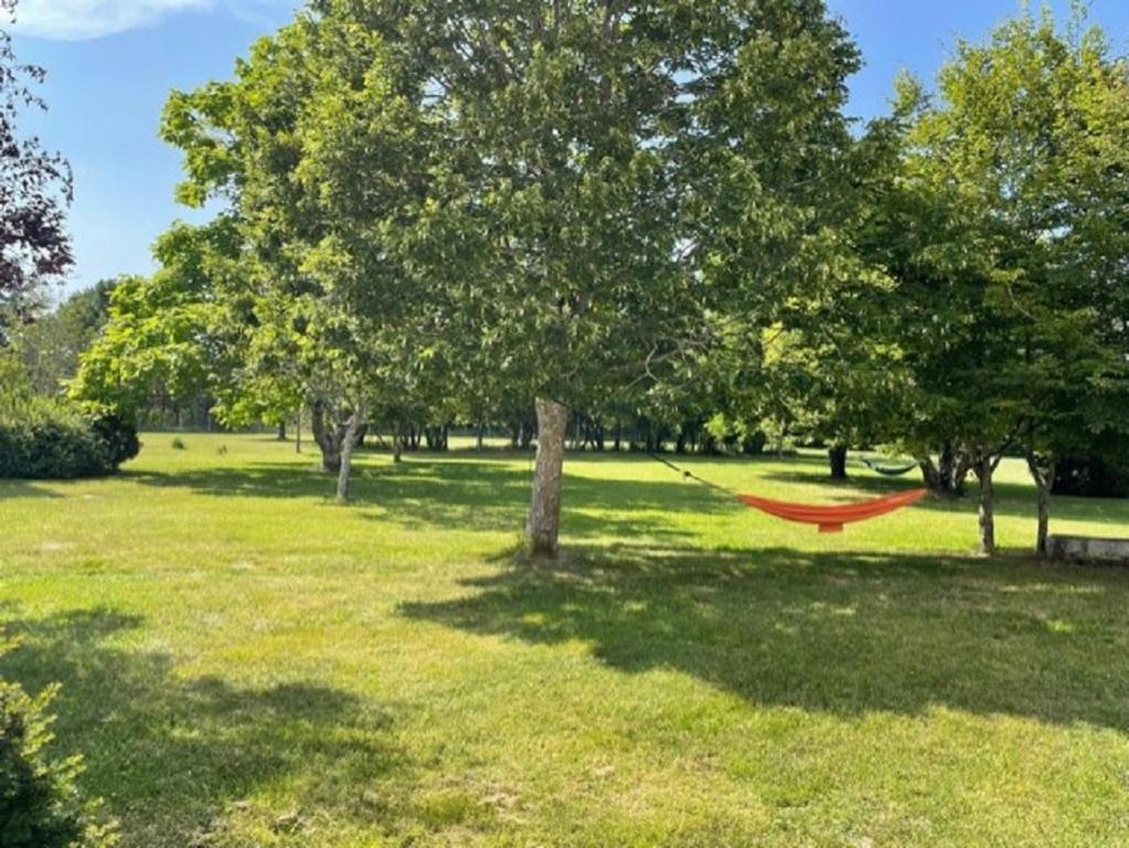 eine Hängematte, die von einem Baum im Park hängt in der Unterkunft GITE ROMANTIQUE in Cléré-les-Pins