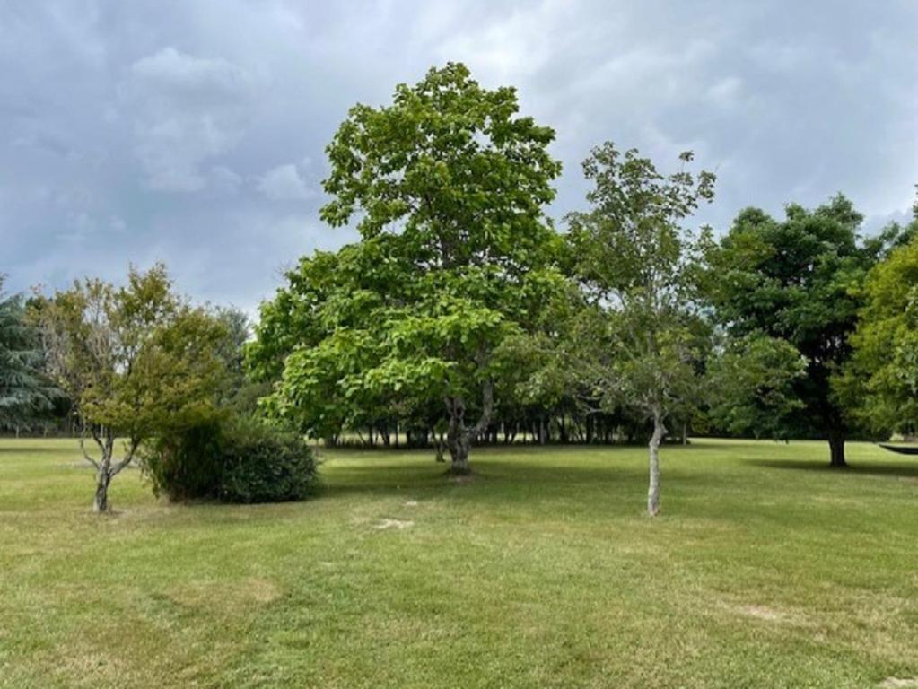 ein Park mit Bäumen und grünem Gras mit einem Himmel in der Unterkunft GITE ROMANTIQUE in Cléré-les-Pins