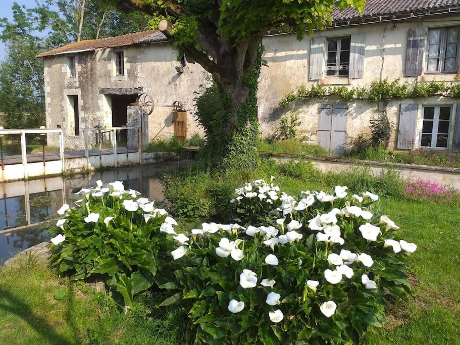 um ramo de flores brancas em frente a uma casa em Gite du moulin em La Mothe-Saint-Héray