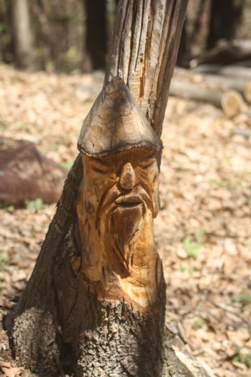 Fotografie z fotogalerie ubytování il Bosco v destinaci Roccaforte Mondovì