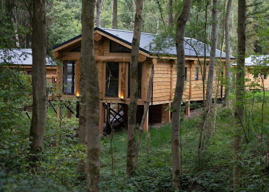 a log cabin in the woods with trees at Woodland Park Lodges in Ellesmere