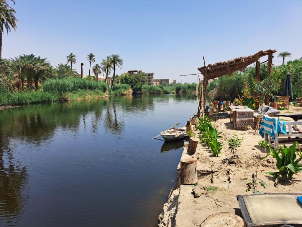 Luxor Old Nile Hotel - 6