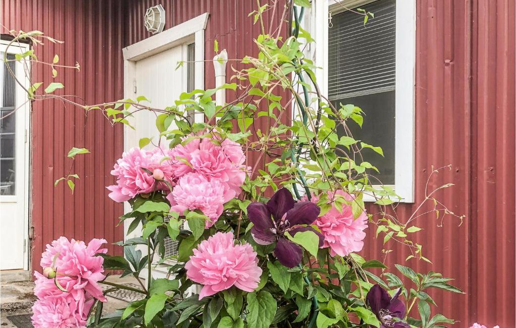 Zahrada ubytování Holiday Home Tingstäte Martebo Kvie
