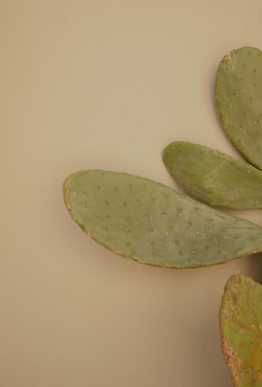 Impero Nafplio Hotel & Suites - Resim 36