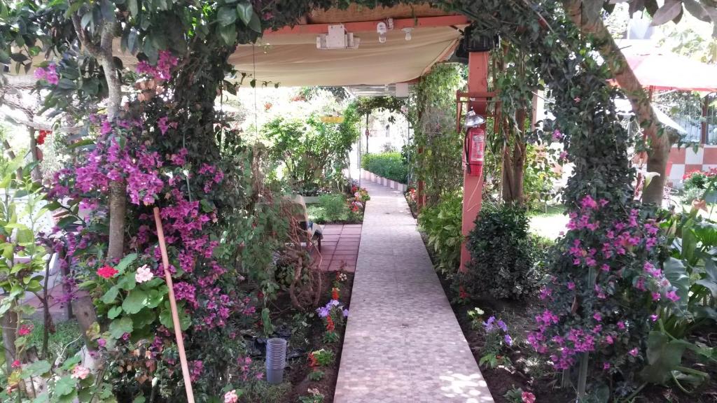Zahrada ubytování Hostal el Parque Tababela