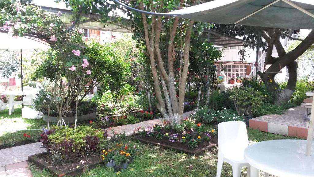 Zahrada ubytování Hostal el Parque Tababela