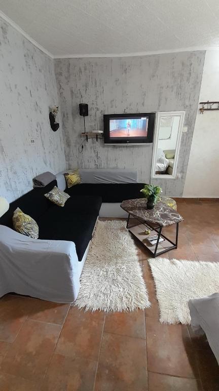 ein Wohnzimmer mit einem Bett und einem TV an der Wand in der Unterkunft Kosta Apartments in Subotica