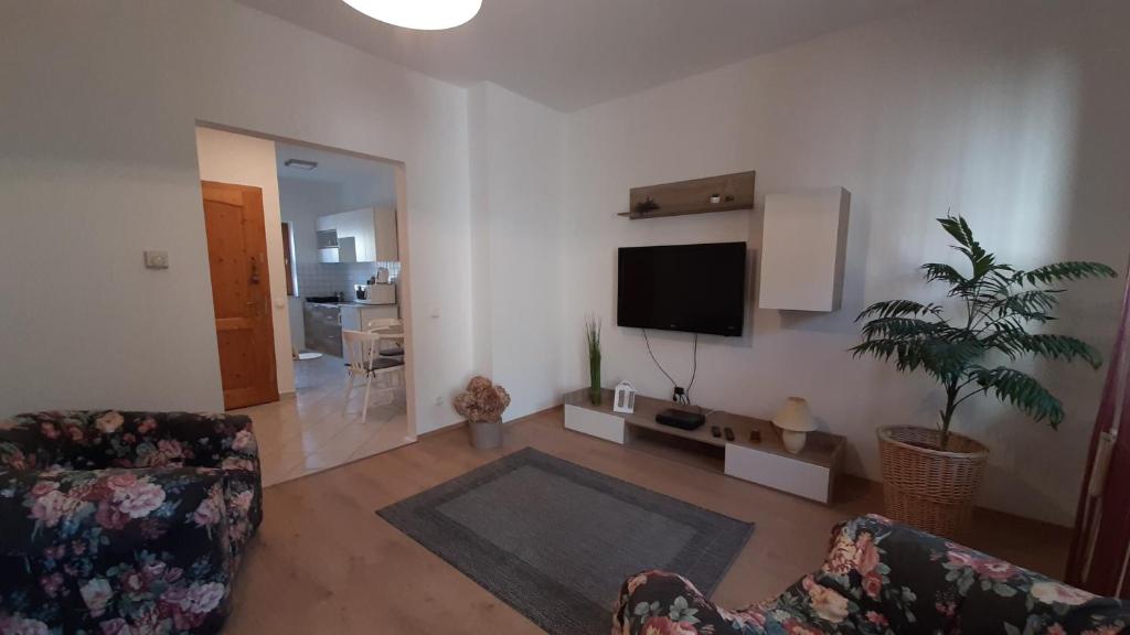 Selyemakàc apartman 8749 Zalakaros, 8 Üdülő sor kép - 1