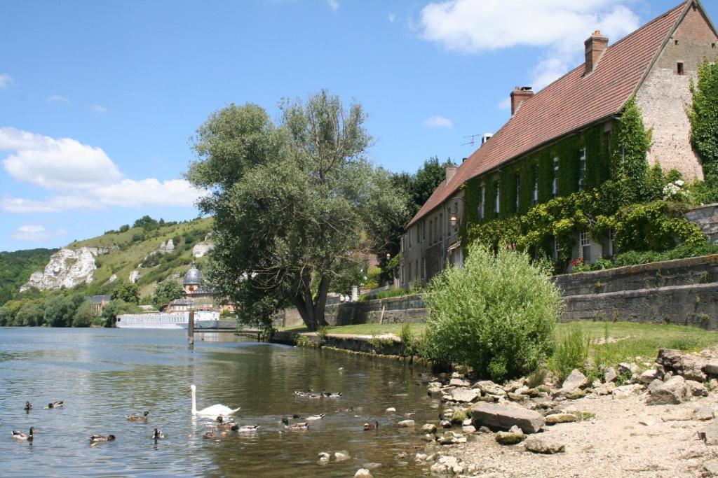 un grupo de patos en el agua al lado de un edificio en La Chaîne D'or, en Les Andelys