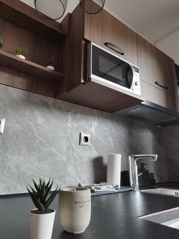 Kuchyň nebo kuchyňský kout v ubytování Apartmani ZAT