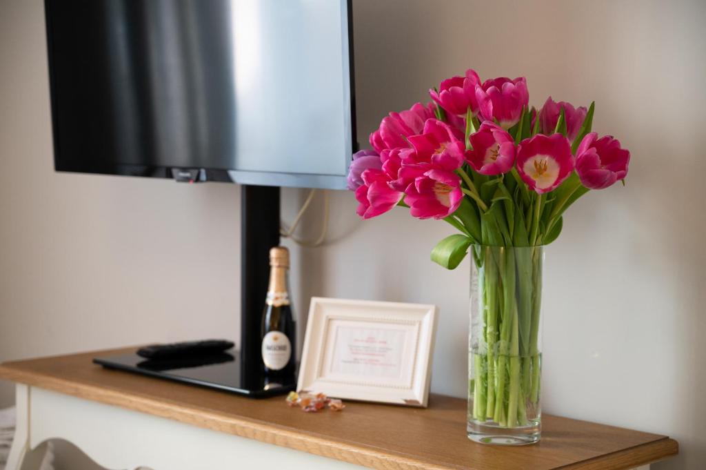 A television and/or entertainment centre at Dream Holiday Home