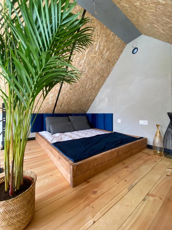 Floating Apartments - ODRA DREAM - Resim 8