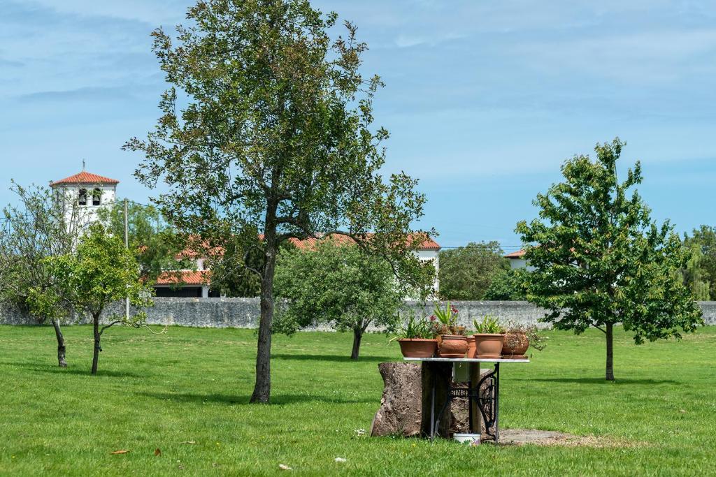 a table with potted plants on it in a park at Hotel Hontoria in Hontoria