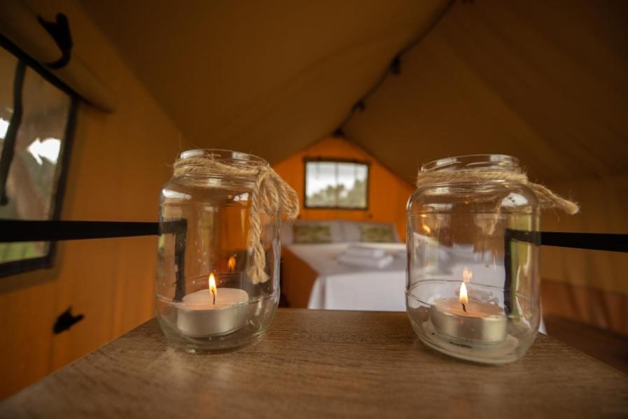 Fotografie z fotogalerie ubytování Glamping VALL de CODÓ v destinaci Terrades