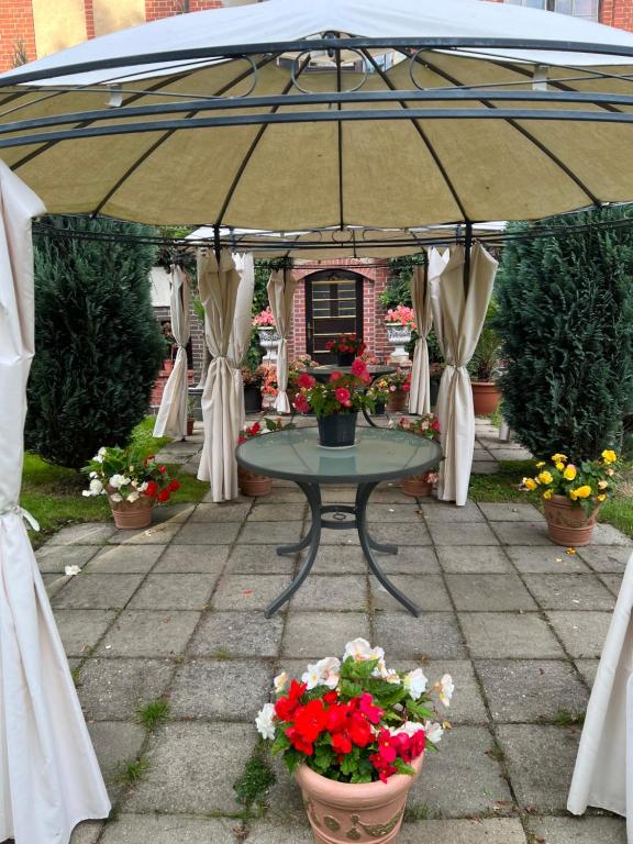 Zahrada ubytování Park Villa Reichenbach