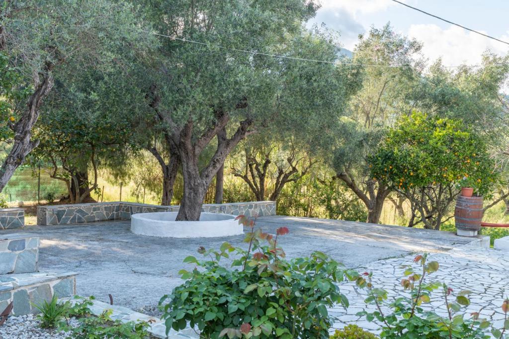 Vonkajšia záhrada v ubytovaní Holiday House Zakynthos