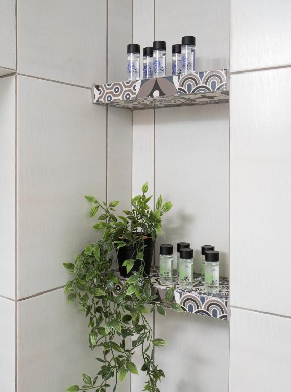 a shelf with bottles and a plant on a wall at Jasmine loft luxury 1 in Kokkini Khanion