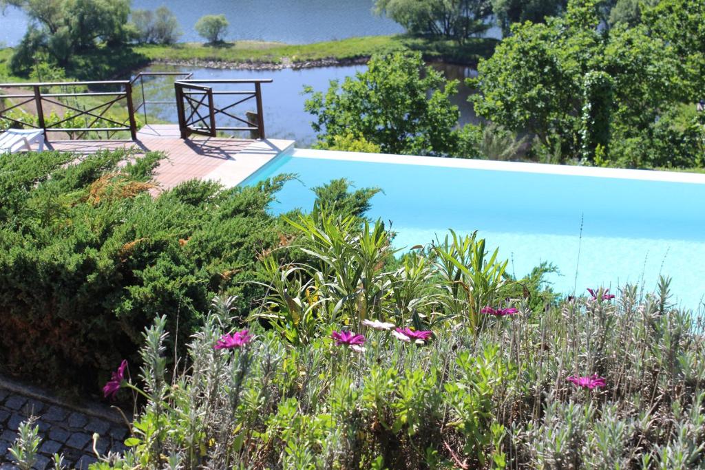 einen Pool in einem Garten mit Blumen in der Unterkunft Casa antiga de pedra com piscina e vista rio in Amarante