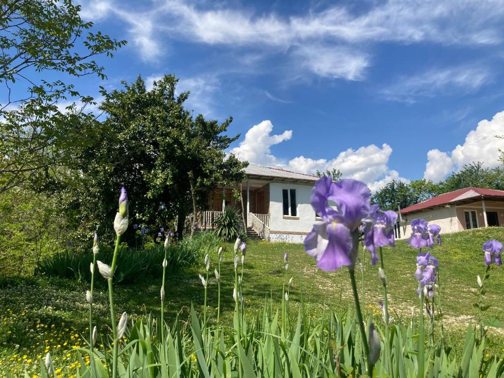 un patio con flores púrpuras y una casa en Mira House en Martvili