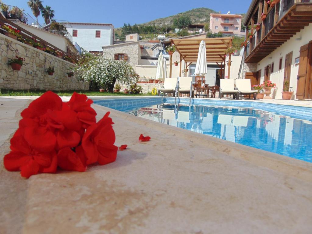 a pile of red flowers sitting next to a swimming pool at Charalambos Holiday Cottage in Kalavasos