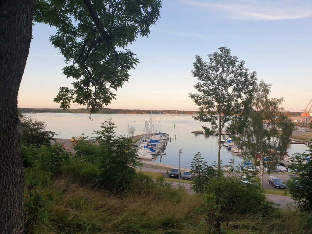 Příroda nedaleko apartmánu