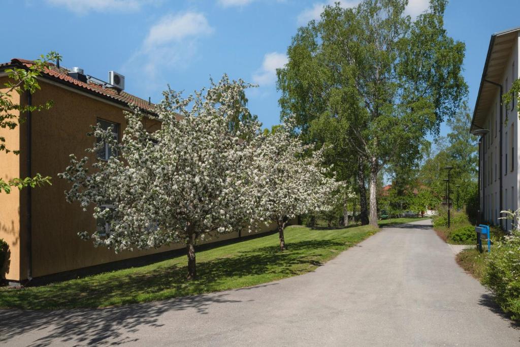 Zahrada ubytování Bosön Hotell & Konferens