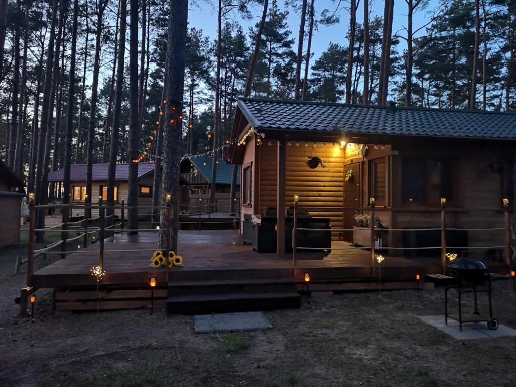 une cabine éclairée dans les bois la nuit dans l'établissement Dzik w zagrodzie, à Borsk