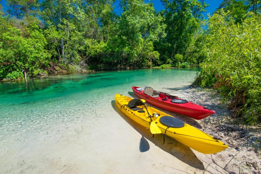 dos kayaks en una playa junto a un río en Home Near Weeki Wachee, King Bed, Huge Backyard en Spring Hill