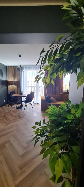 Gallery image of Mazovia Gold Apartament in Płock